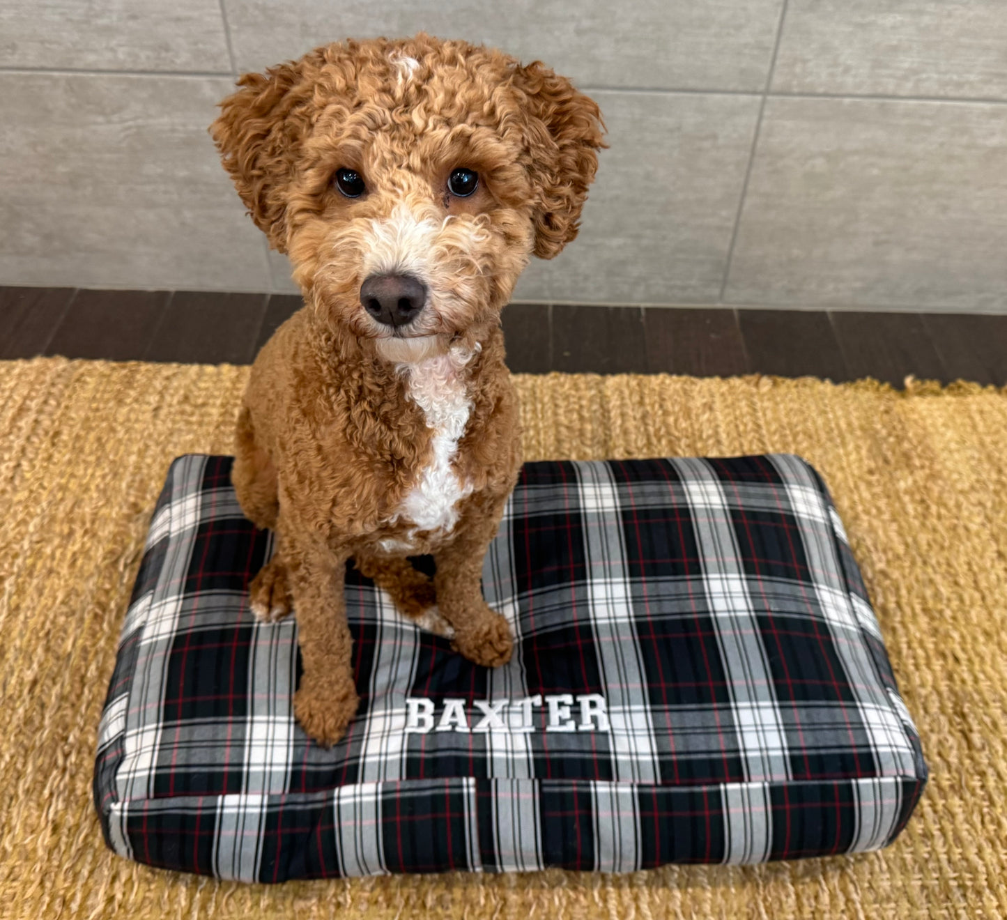 Satsuma Designs *MONOGRAMMED* Lloyd Plaid Pet Bed (LARGE)