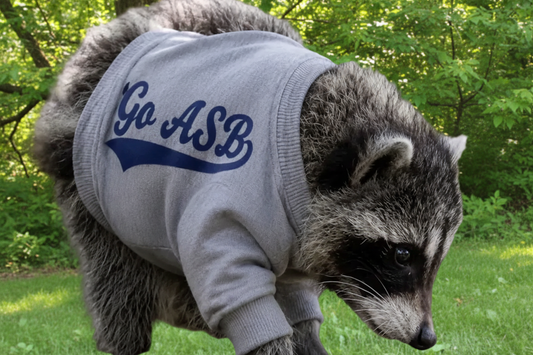 NEW for Fall 2026! Go ASB! District® Perfect Tri® Fleece Crewneck | GREY + NAVY